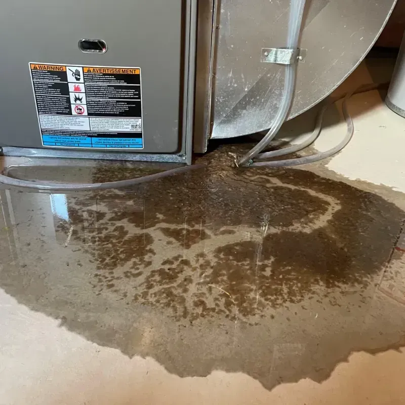 Appliance Leak Cleanup in Woodsfield, OH